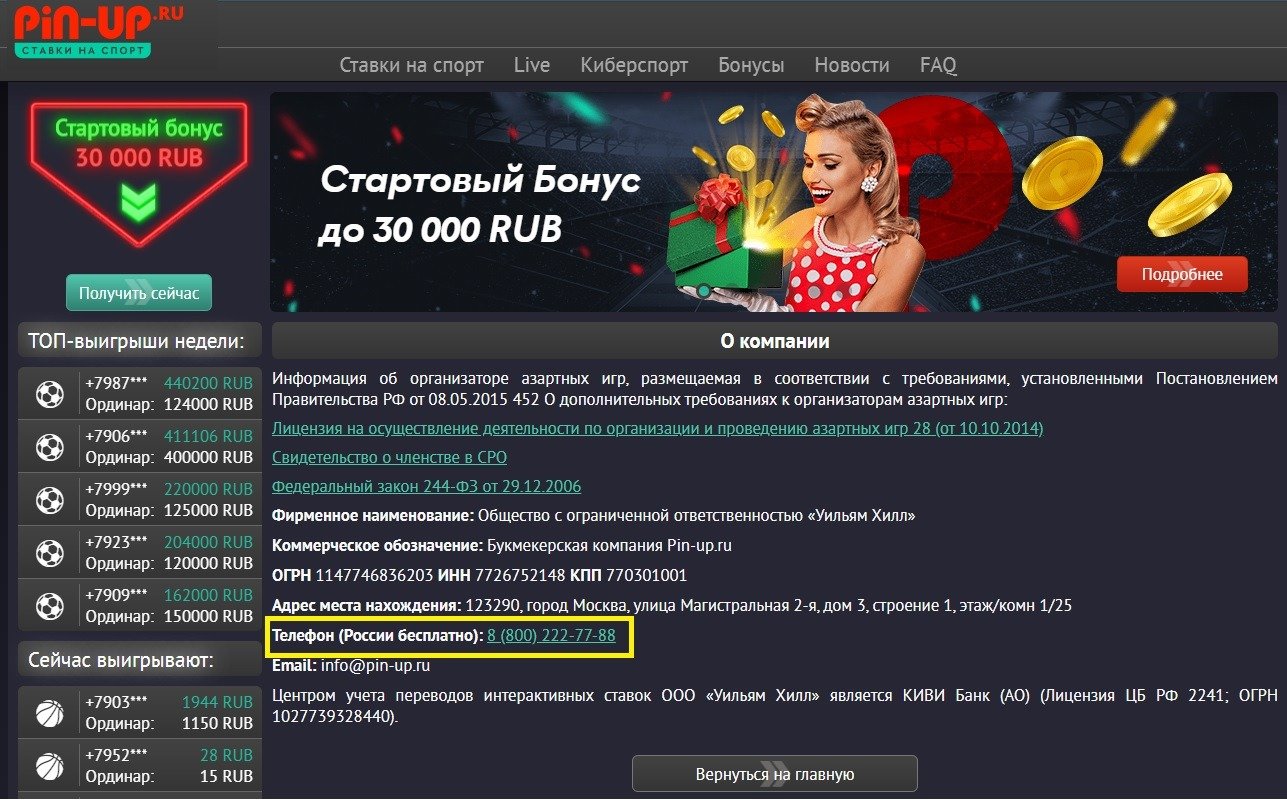 Пин Ап Казино Pin Up официальный сайт и рабочее зеркало