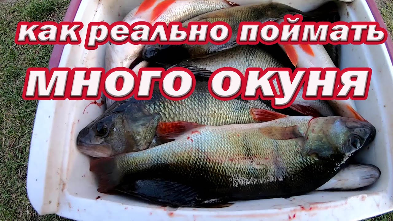 Слот игри – Топ 10 плащащи казино игри