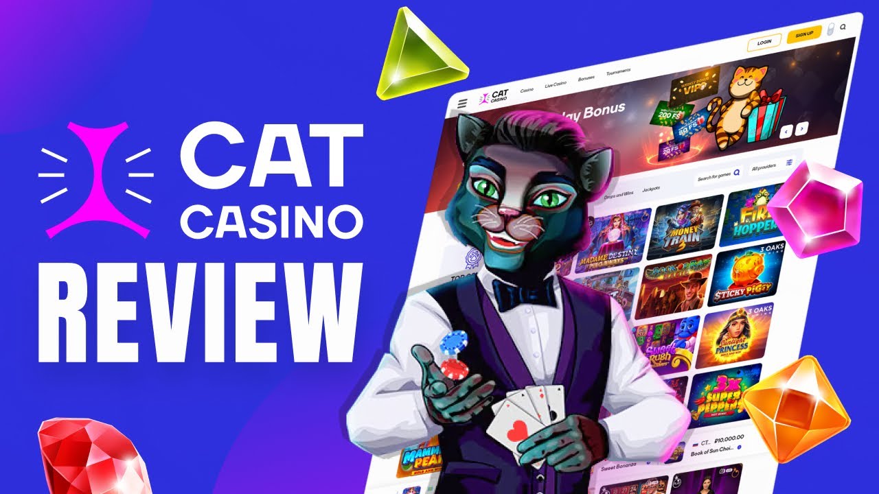 Cat Casino официальный сайт. Кэт казино зеркало.