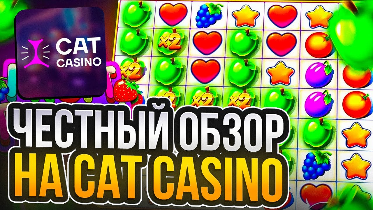 Cat Casino — официальный сайт, зеркало на сегодня, игровые.