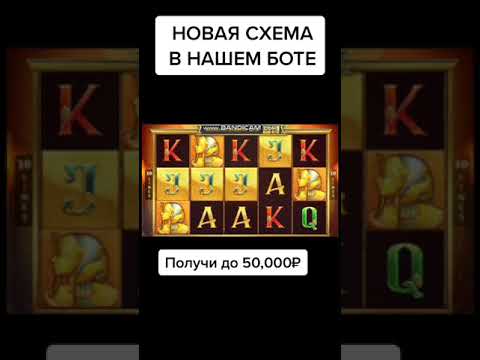 Служба техподдержки БК Pin Up Горячая линия.