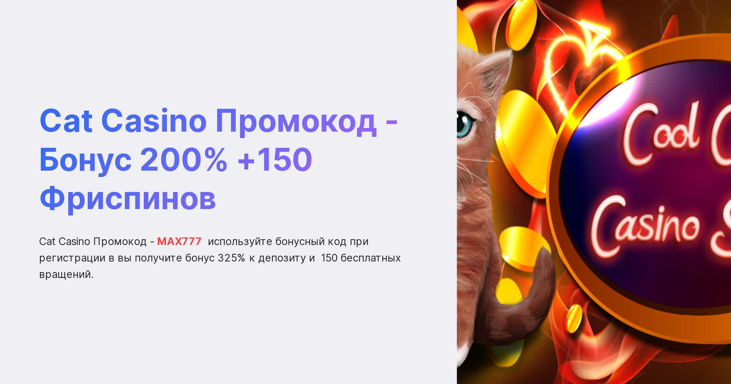 Бонус-коды для Кэт в 2024 году ― уникальные.