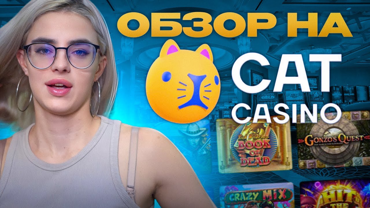 Cat Casino официальный сайт регистрация, Кэт Казино.
