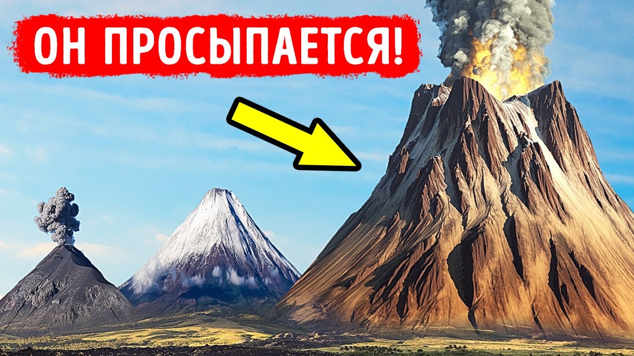 Игровой зал казино Вулкан Рояль