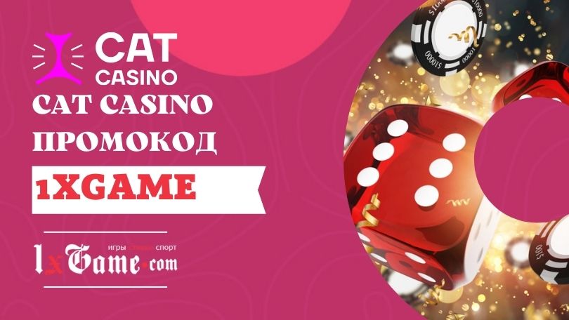 Официальное казино Кэт онлайн. Зеркало казино Cat.