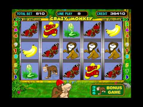 Обзор игрового автомата Crazy Monkey —