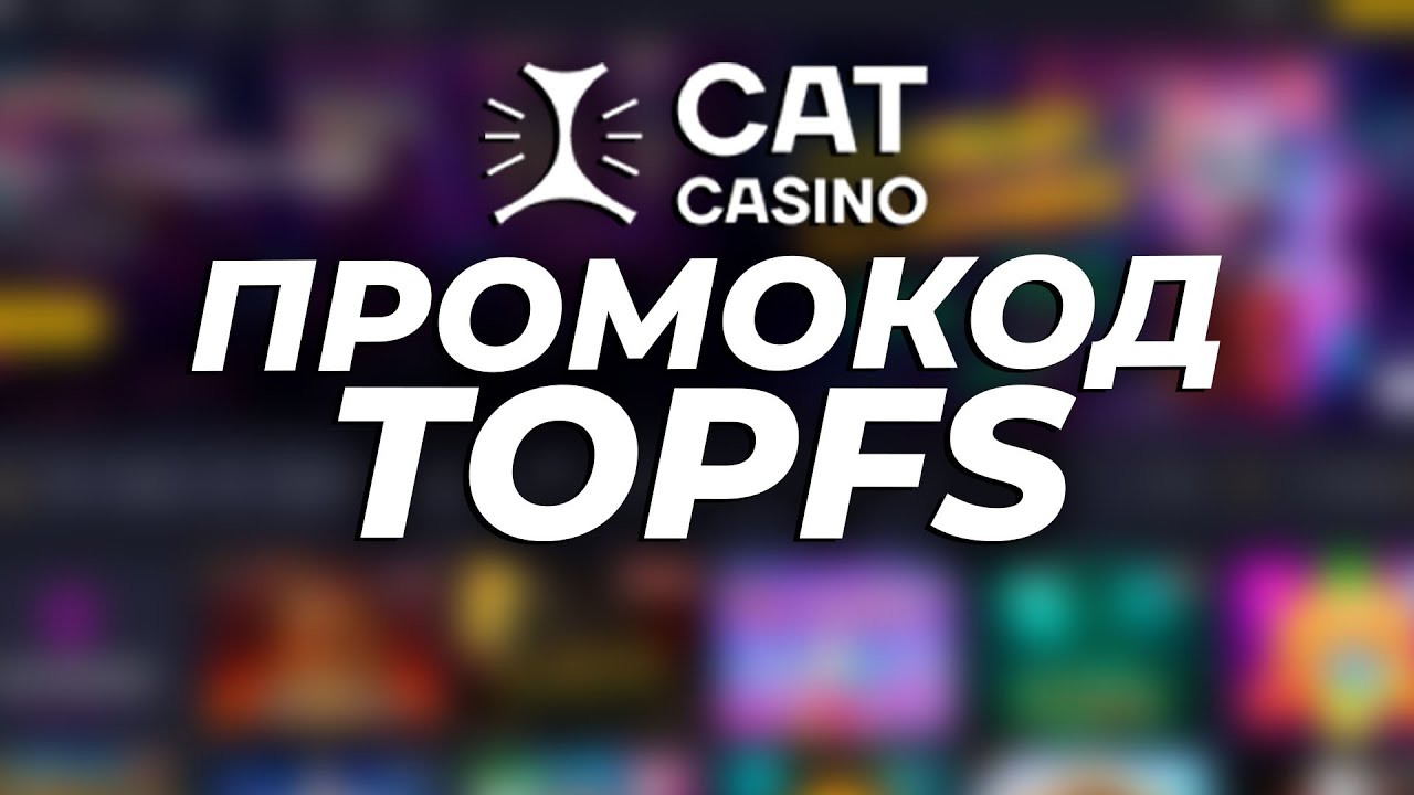Промокод FVIP на фриспины в Cat казино в 2024 году.
