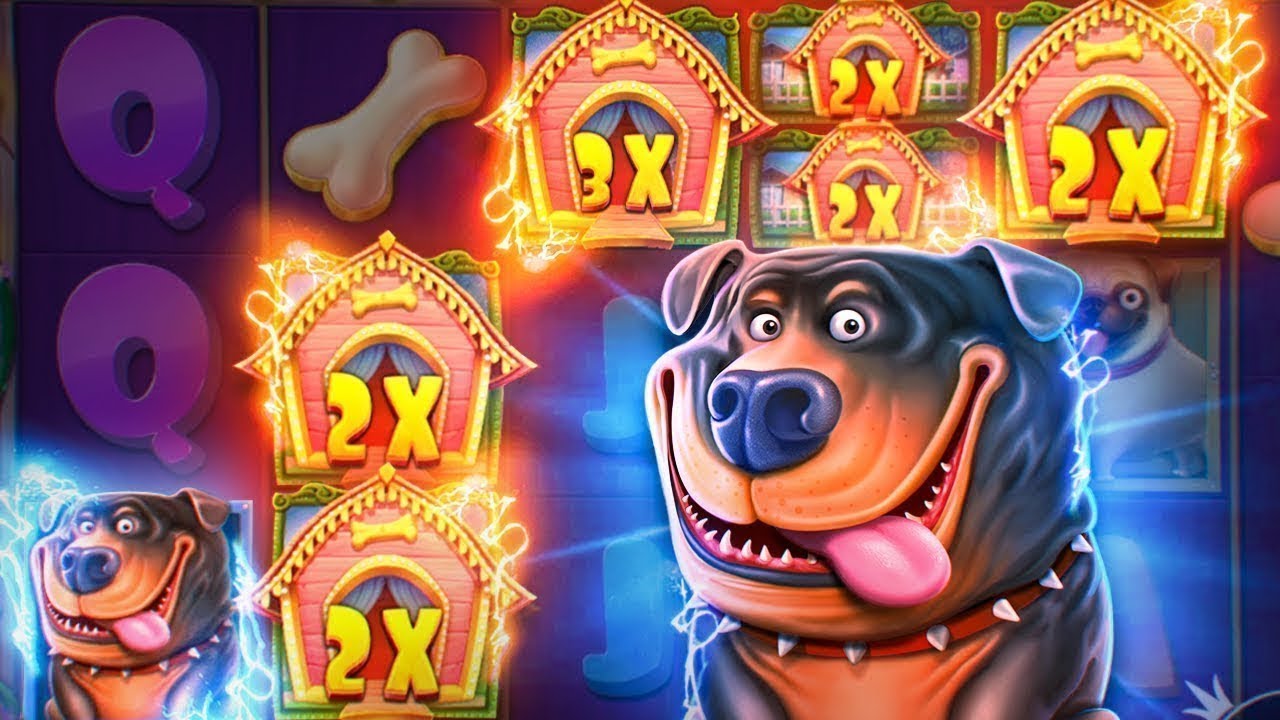 Dog House игра с выводом денег - бонус 150 рублей.