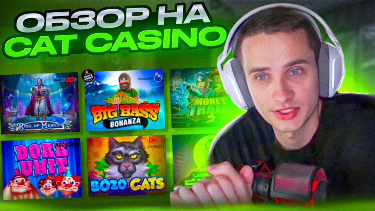 Cat Casino – Официальный Сайт Кэт Казино