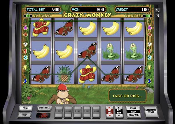 Обезьянки Crazy Monkey бесплатно играть онлайн