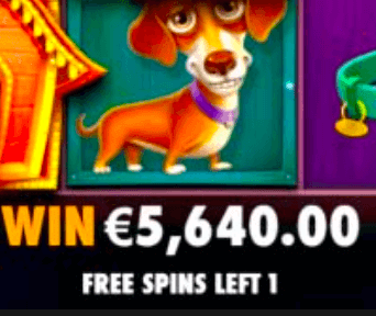 Dog House Megaways играть демо слот - Официальный сайт игры