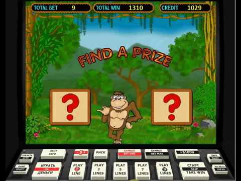 Crazy Mankey Крейзи Манки игровой автомат, бесплатная игра