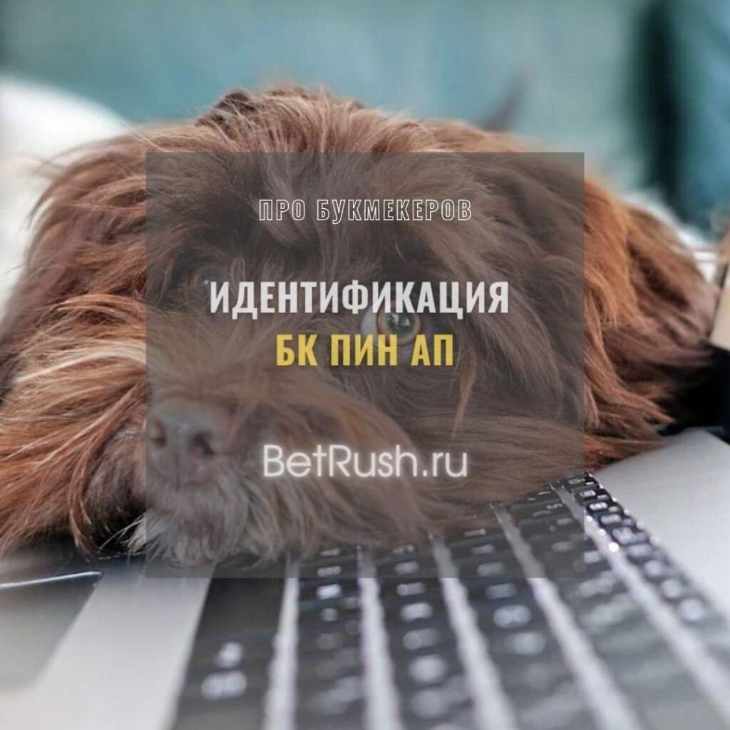 Пин Ап играть онлайн⚡⚡ - официальный сайт Pin Up casino