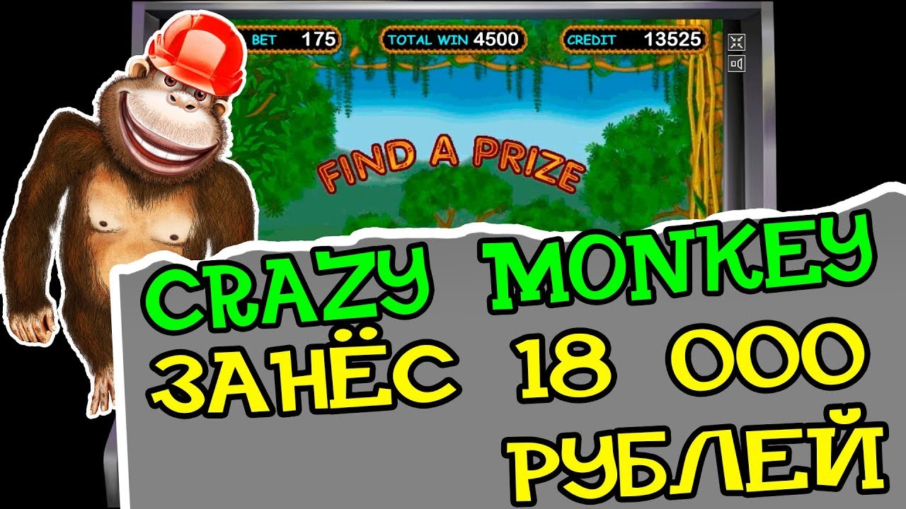 Слот Crazy Monkey покори джунгли с Igrosoft