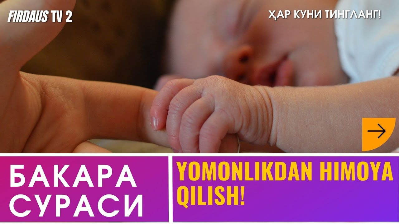 Баккара - Играйте Онлайн на SilverGames ️