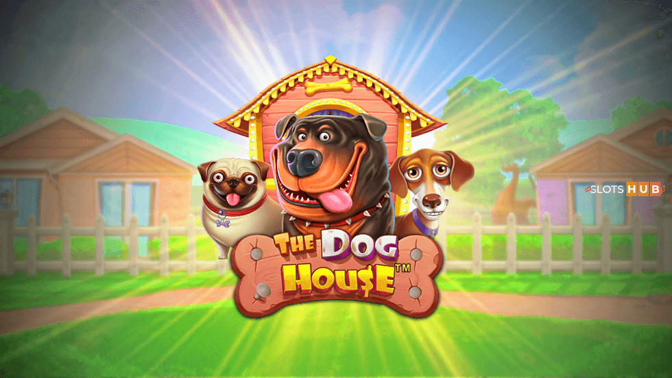Dog house демо + – *•.威星系统.•* *.*. WeiStarTech.*.