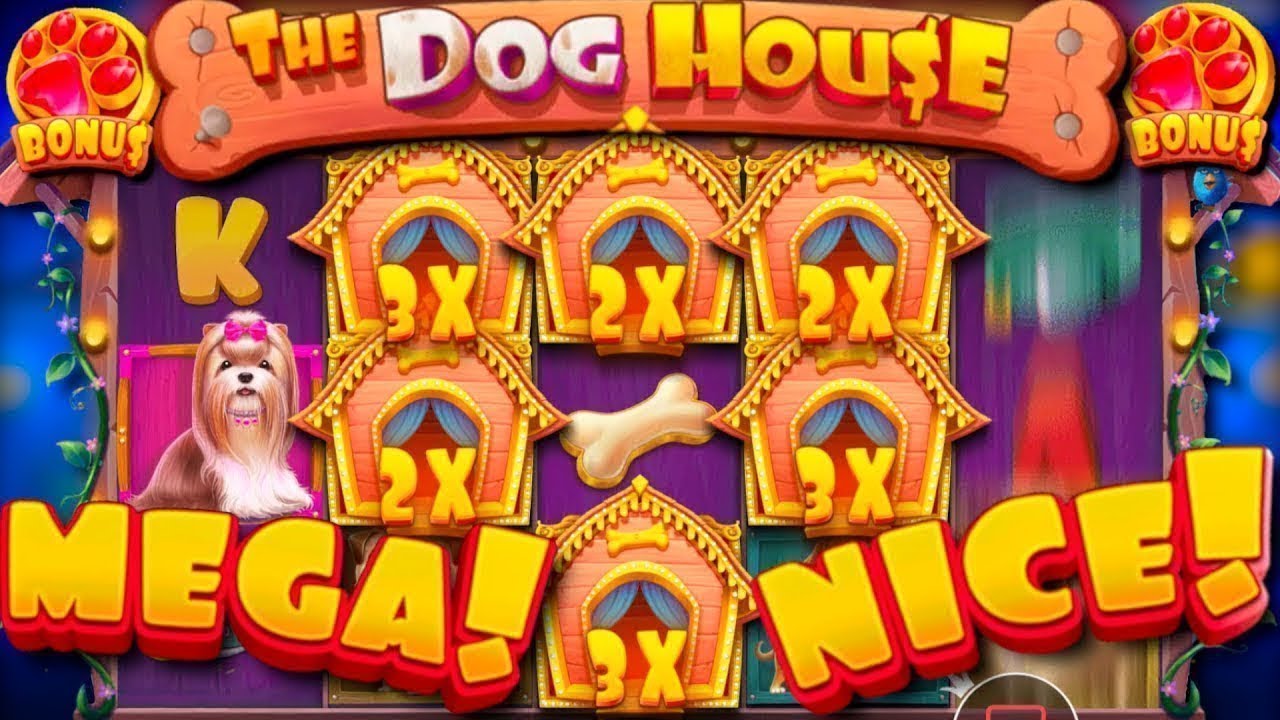Дог Хаус Мегавейс играть бесплатно в демо слот The Dog.