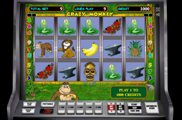 Автомат. Играть в Crazy Monkey Демо