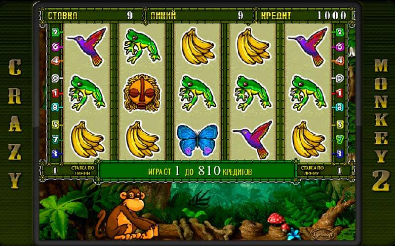 Crazy Monkey Крейзи Манки играть онлайн.