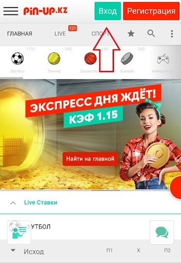 Пин Ап Букмекерская Контора - Обзор