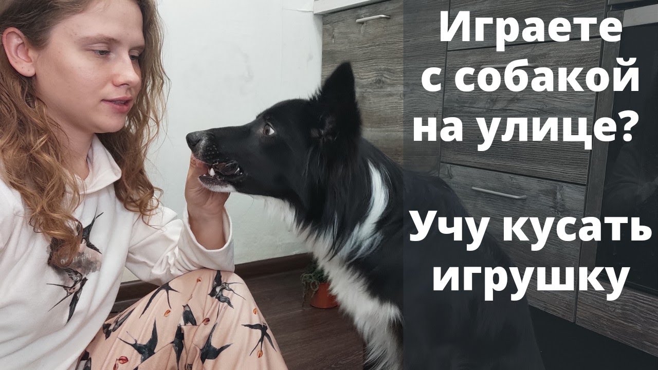 Игровые автоматы онлайн - бесплатно и без регистрации, от.