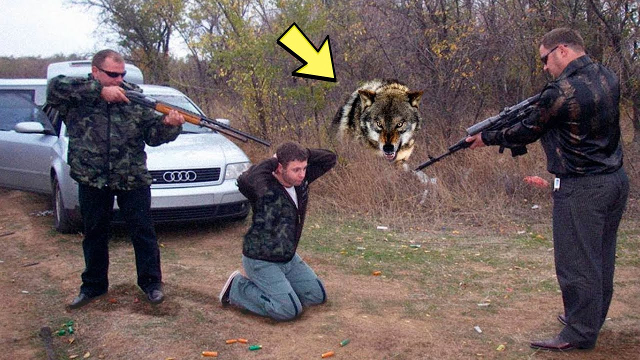 Игровые автоматы — Деньги — Коммерсантъ