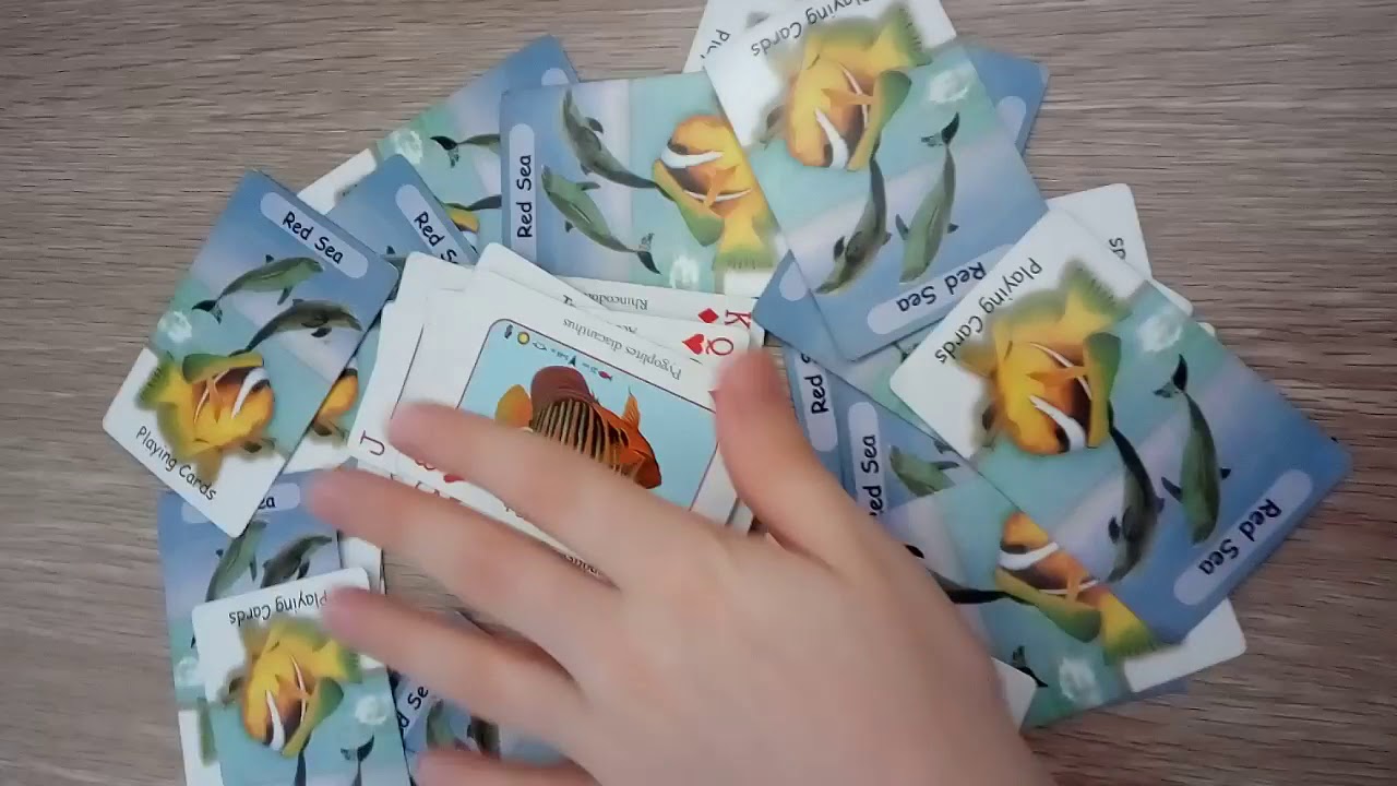 Пасьянсы онлайн Косынка, Паук, Коврик и другие. Игра в.