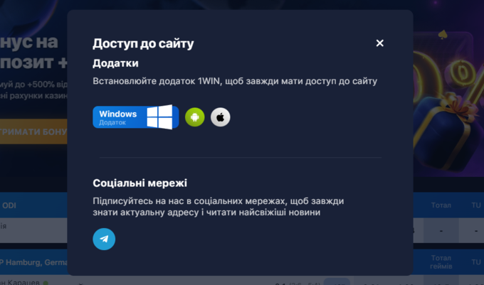 Вин - обзор букмекерской конторы