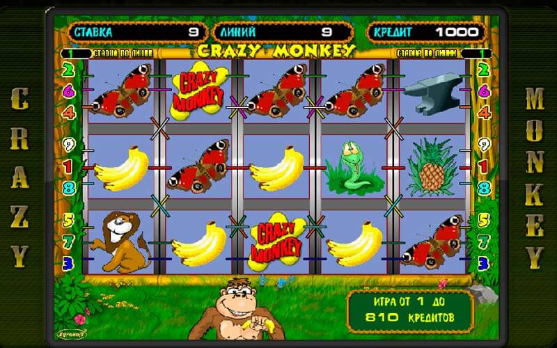 Игровой автомат Обезьянки Crazy Monkey играть бесплатно