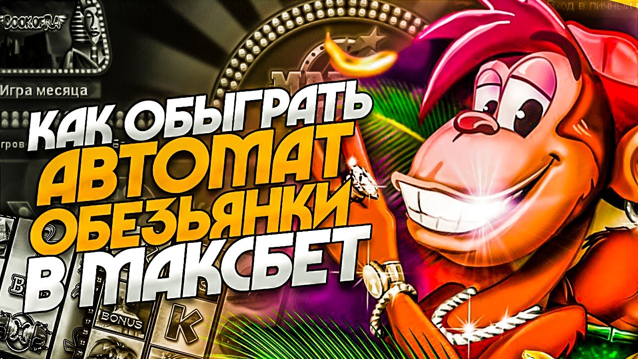 Что значит по максбету основные понятия и смысл игры