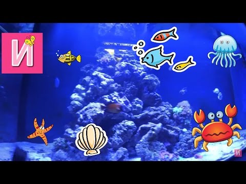 Игровые Автоматы - Играть в Онлайн Слоты на деньги в Чемпион.