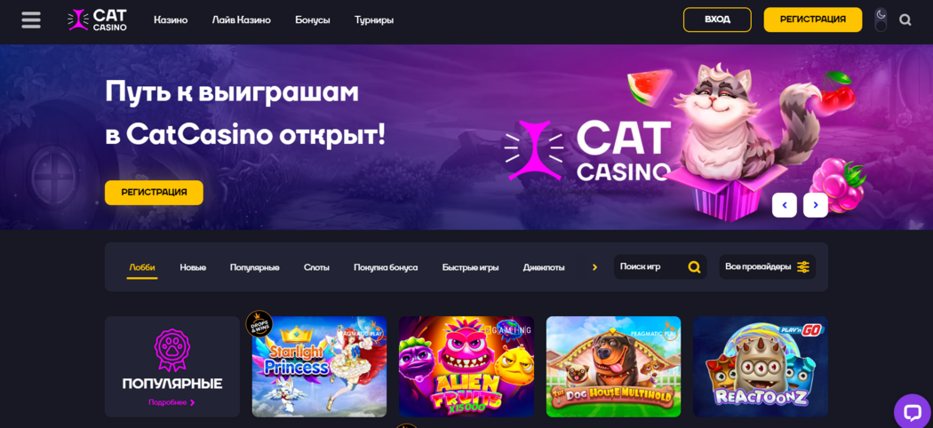 Cat Casino. Фриспины Cat казино #shorts