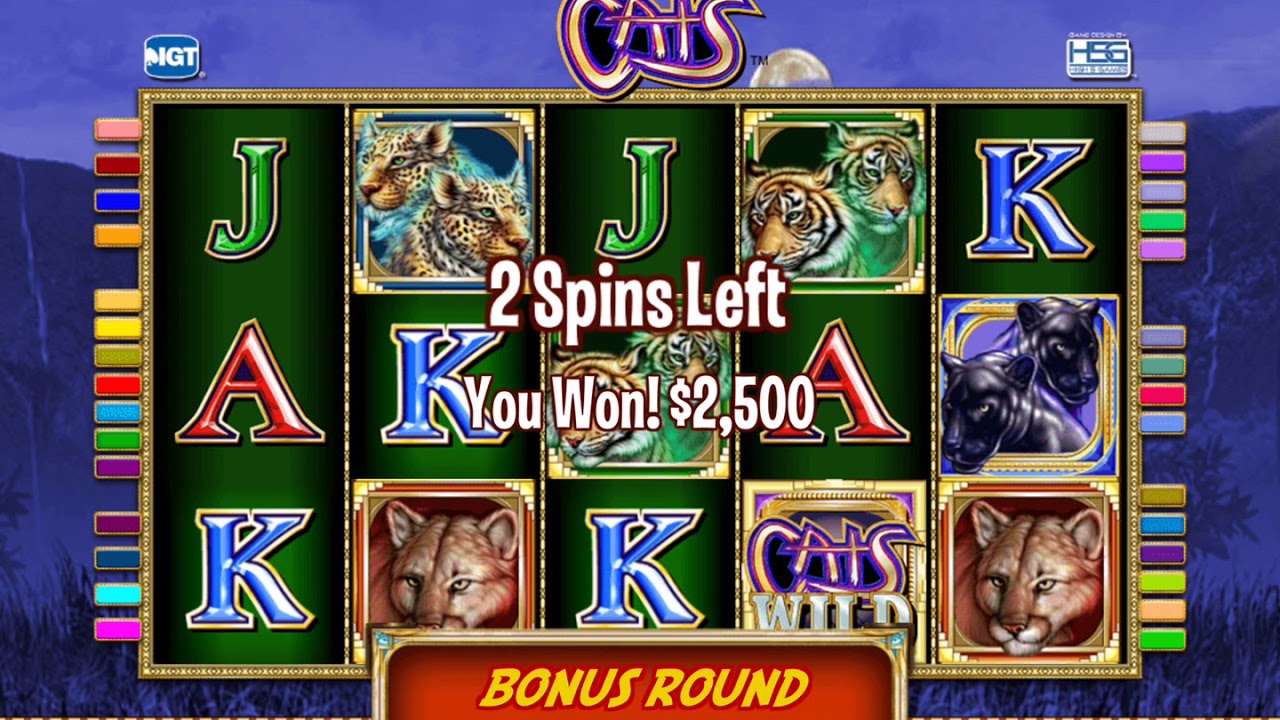 Cat casino промокод - бонус 525% и 230 FS на Октябрь.