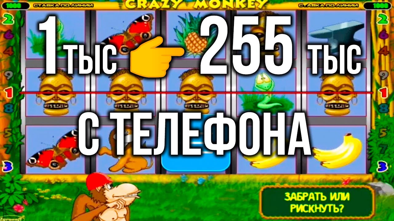 Как выиграть в Crazy Monkey — правила игры в автомате.