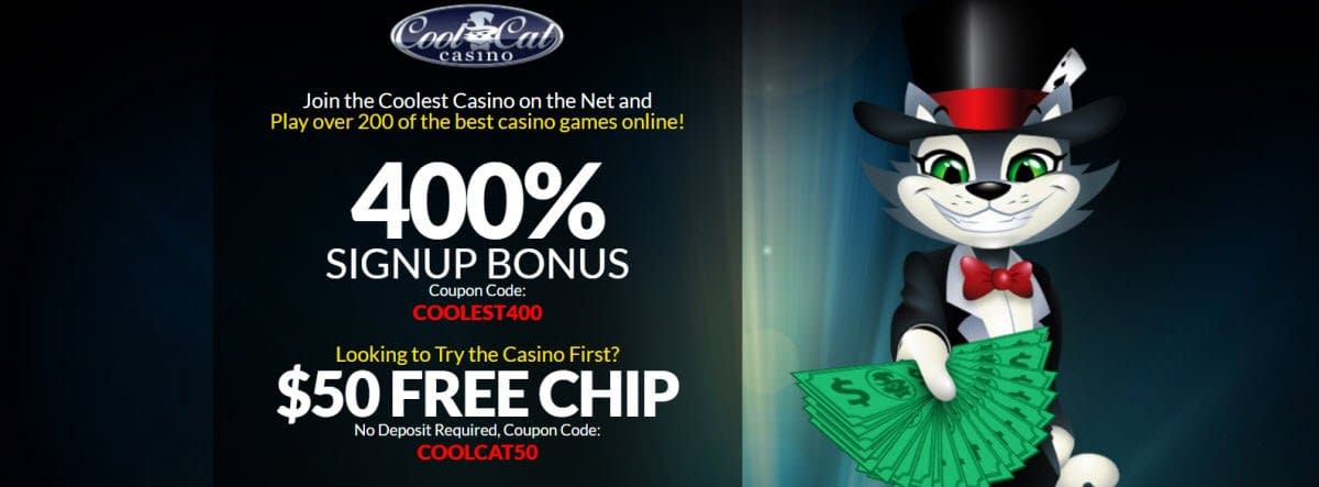 Регистрация в Cat Casino — порядок создания аккаунта на официальном.