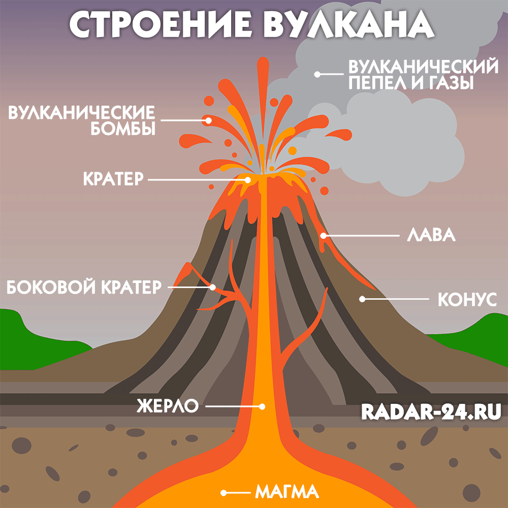 Контакты