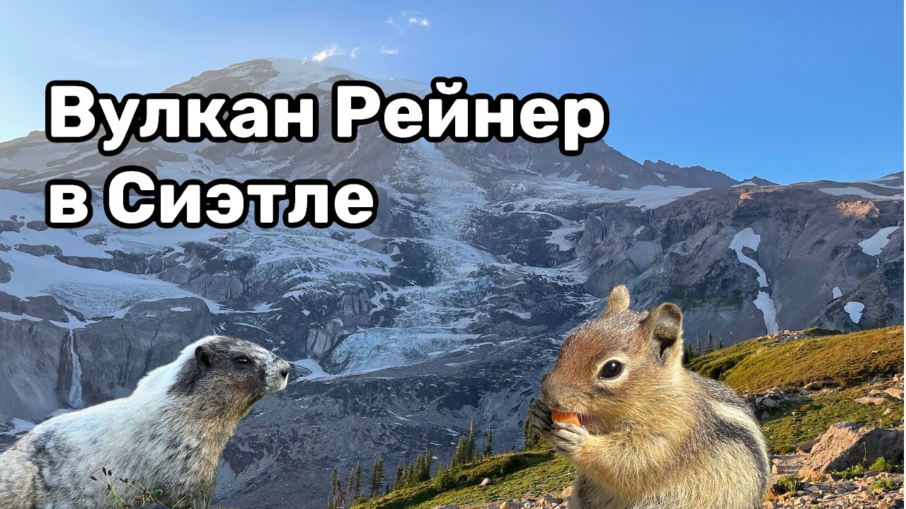 Игровые автоматы играть бесплатно онлайн.