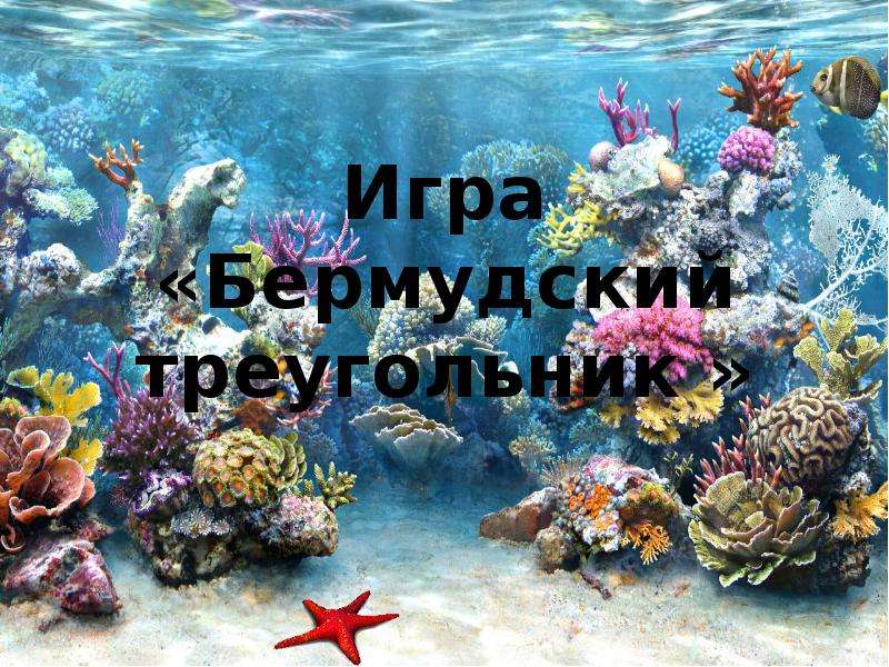 Сприлл. Тайна Бермудского треугольника.