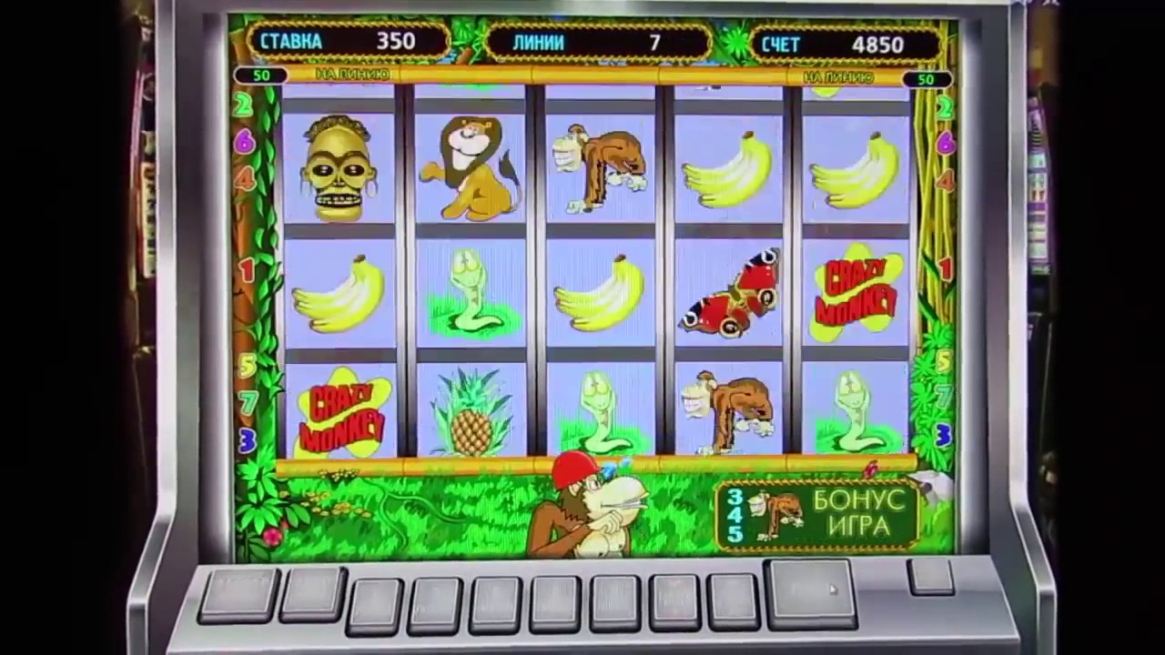 Игровой автомат Crazy Monkey Обезьянки играть бесплатно