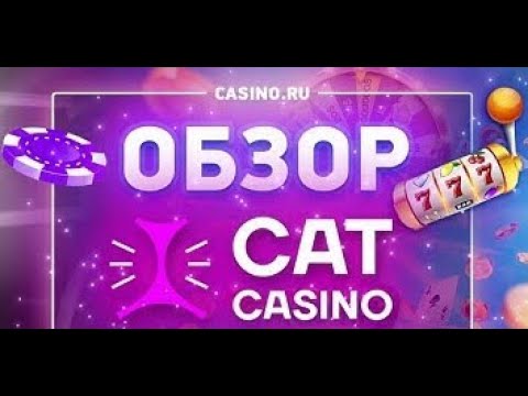 Казино Кэт онлайн. Зеркало казино Cat. Личный кабинет.