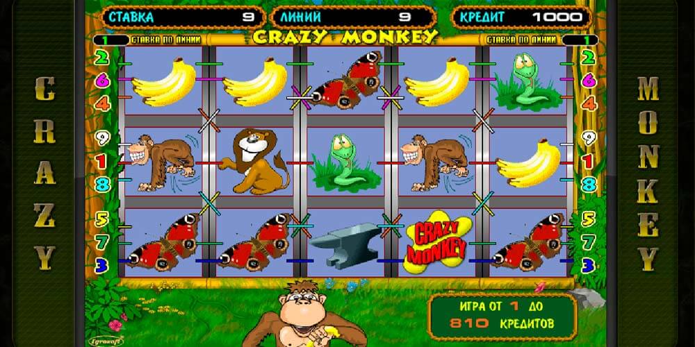 Игра Крейзи Стив - играть онлайн бесплатно