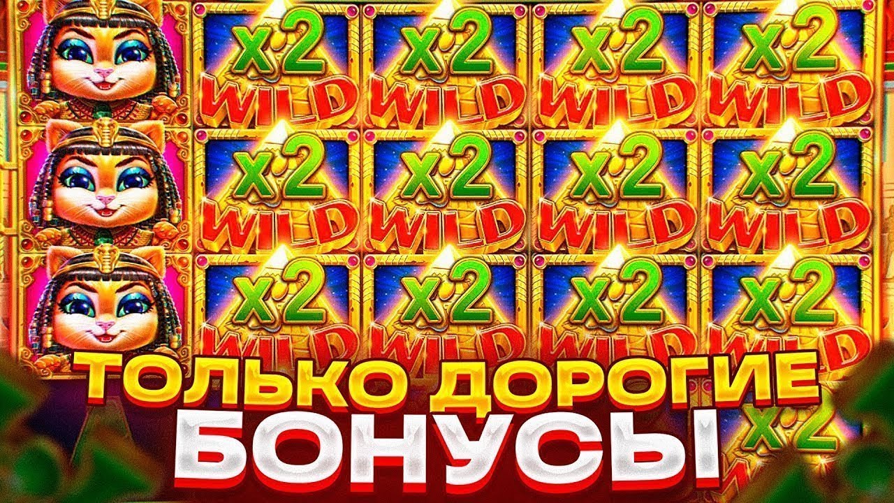 Официальный сайт казино MaxBet - обзор официального сайта.