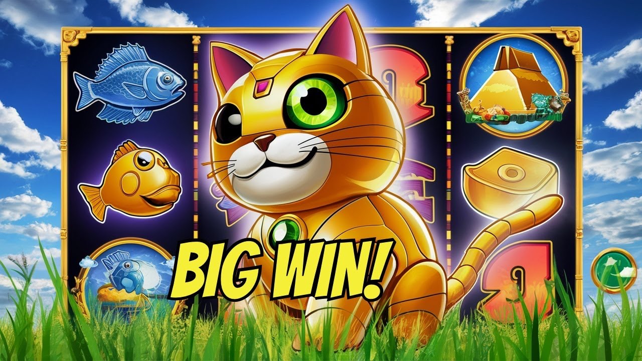 Cat Casino официальный сайт личный кабинет, зеркало Кэт.