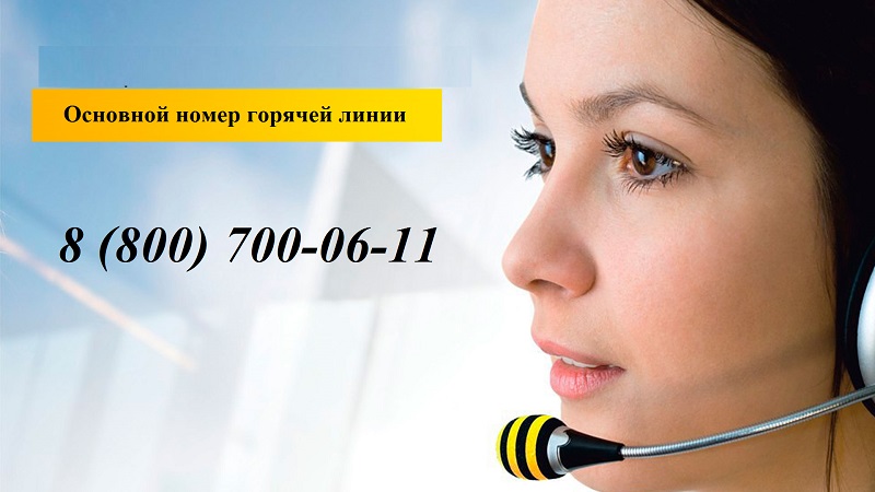 Pin Up служба поддержки Как связаться.
